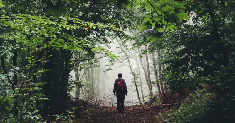 Mensch auf einem Waldweg im Nebel, vor sich helleres Licht
