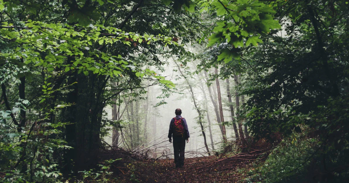 Mensch auf einem Waldweg im Nebel, vor sich helleres Licht